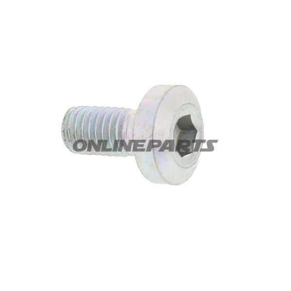 Brake Disc Boltm8x1.25X17mm