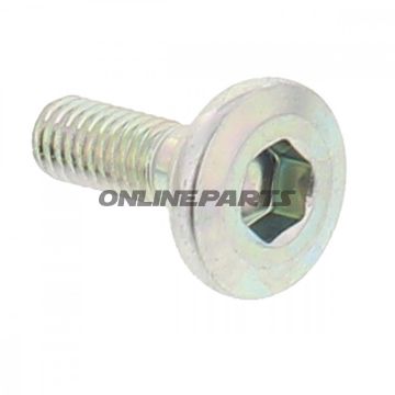Brake Disc Boltm6x1.0X18mm