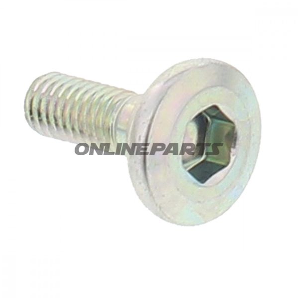 Brake Disc Boltm6x1.0X18mm