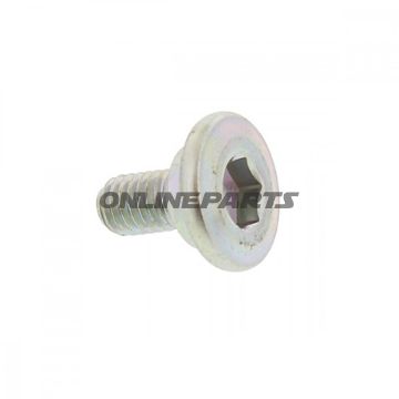Brake Disc Boltm6x1.0X12 Mm