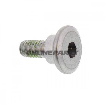 Brake Disc Boltm6x1.0X17mm