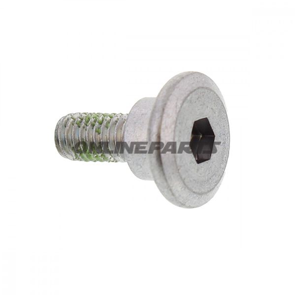 Brake Disc Boltm6x1.0X17mm
