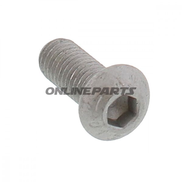 Brake Disc Bolt Oem8x1.25X20 Mm