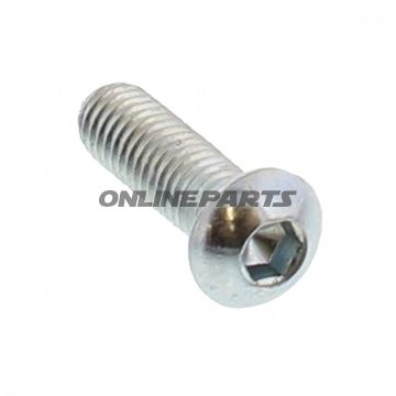 Brake Disc Bolt Oem6x1.0X20 Mm