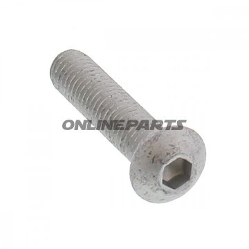 Brake Disc Bolt Oem8x1.25X35 Mm