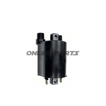 Ignition Coil 12V