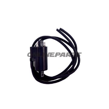 Ignition Coil 12V