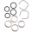 Fork Repair Kit Completeall Balls Racing