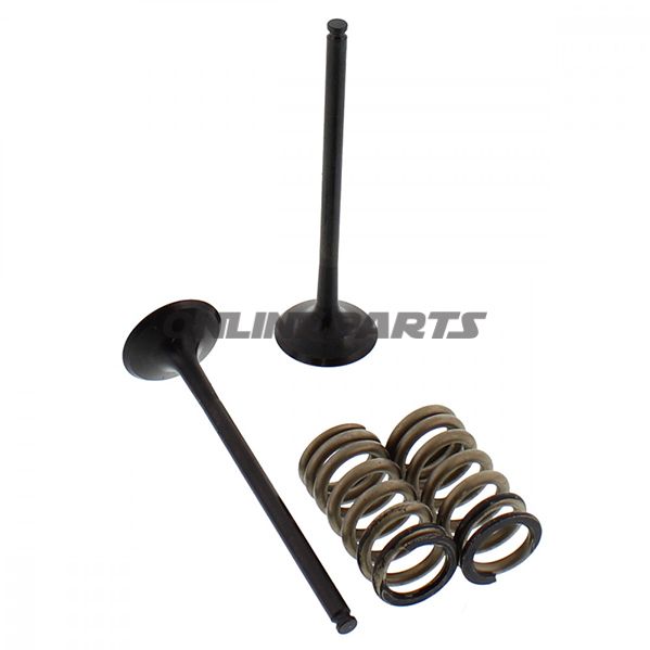 Exhaust Valve And Spring Setsteel Valve