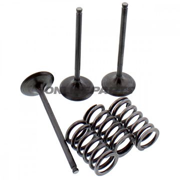 Inlet Valve And Spring Setsteel Valve