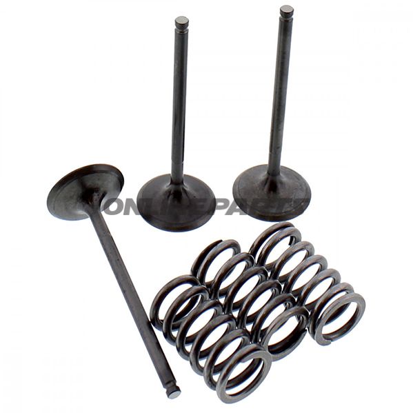Inlet Valve And Spring Setsteel Valve