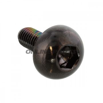 Brake Disc Screw Proboltm6x1.00Mm 17Mm Stainless Steel A4 Black
