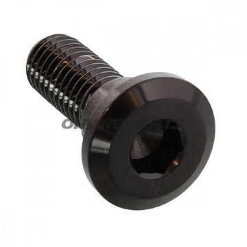 Brake Disc Screw Proboltm8x1.25Mm 24Mm Stainless Steel A4 Black