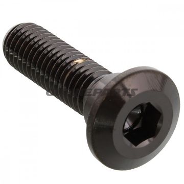 Brake Disc Screw Proboltm8x1.25Mm 30Mm Stainless Steel A4 Black