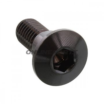 Brake Disc Screw Proboltm8x1.25Mm 22Mm Stainless Steel A4 Black