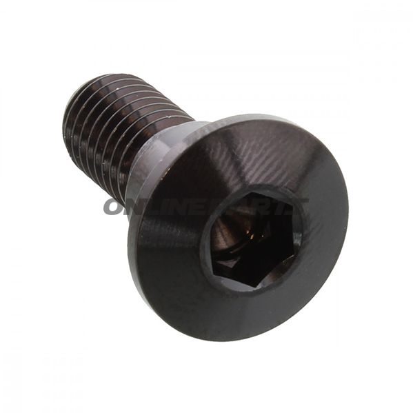 Brake Disc Screw Proboltm8x1.25Mm 22Mm Stainless Steel A4 Black