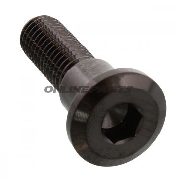 Brake Disc Screw Proboltm8x1.25Mm 30Mm Stainless Steel A4 Black