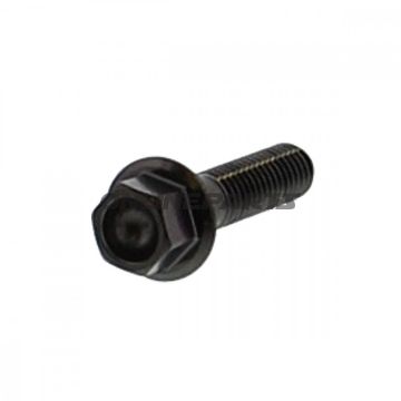 Hex Bolt Jmpm6x1.00 25Mm Stainless A4 Black