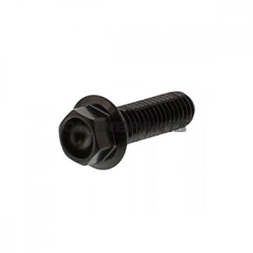 Hex Bolt Jmpm8x1.25 25Mm Stainless A4 Black