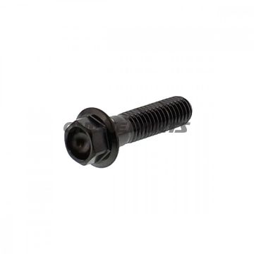 Hex Bolt Proboltm8x1.25 35Mm Stainless Steel A4 Black