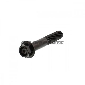 Hex Bolt Jmpm8x1.25 45Mm Stainless A4 Black