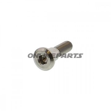 Brake Disc Screw Proboltm8x1.25Mm 33Mm Titan