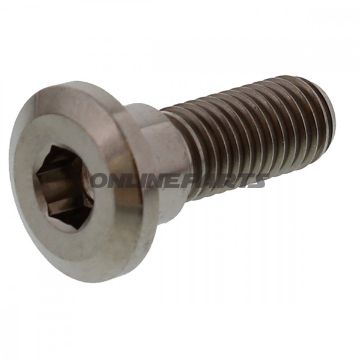 Brake Disc Screw Proboltm8x1.25Mm 24Mm Titan