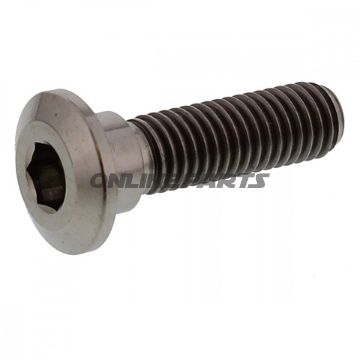 Brake Disc Screw Proboltm8x1.25Mm 30Mm Titan