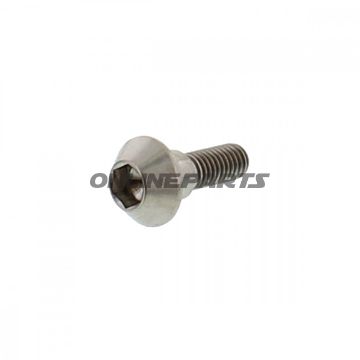 Brake Disc Screw Proboltm6x1.00Mm 20Mm Titan
