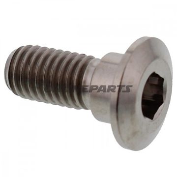 Brake Disc Screw Proboltm8x1.25Mm 20Mm Titan