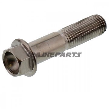 Hex Bolt Jmpm10x1.25 45Mm Titanium