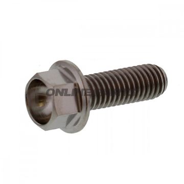 Hex Bolt Jmpm5x0.8 15Mm Titanium