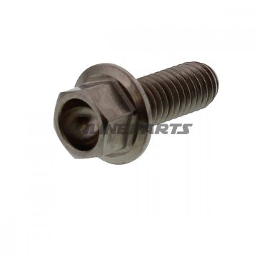 Hex Bolt Jmpm6x1.00 16Mm Titanium