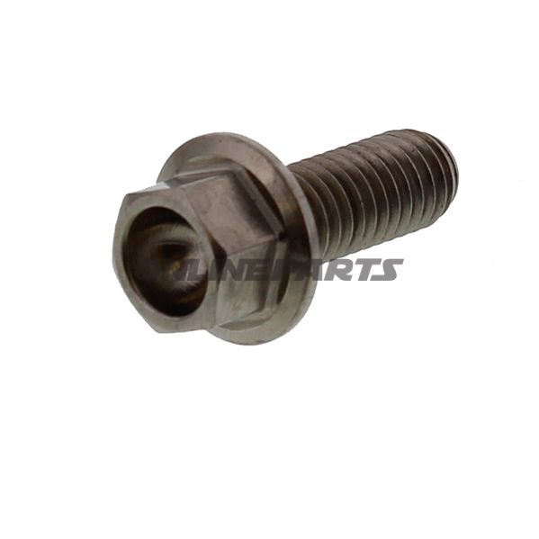 Hex Bolt Jmpm6x1.00 16Mm Titanium
