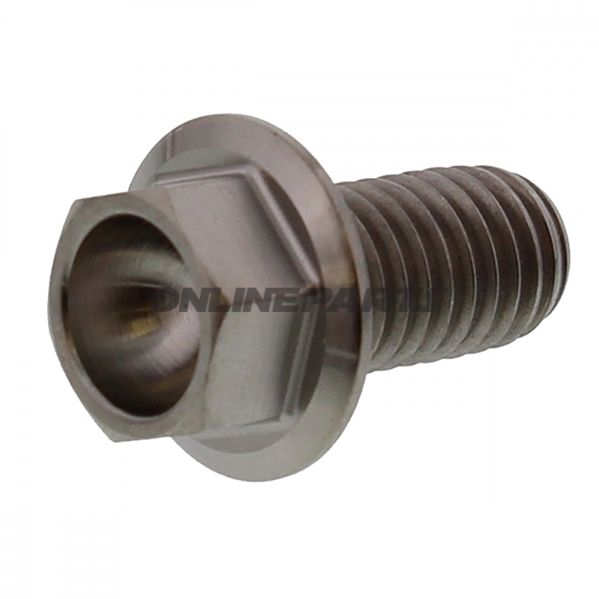 Hex Bolt Jmpm8x1.25 15Mm Titanium