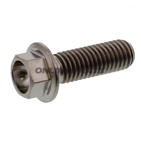 Hex Bolt Jmpm8x1.25 25Mm Titanium