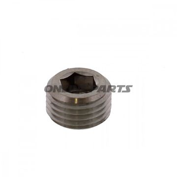 Plug Caliper Pin Proboltm10x1.00Mm Titan