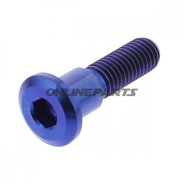 Brake Disc Screw Proboltm8x1.25Mm 33Mm Titan Blue