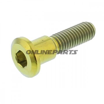 Brake Disc Screw Proboltm8x1.25Mm 33Mm Titan Gold