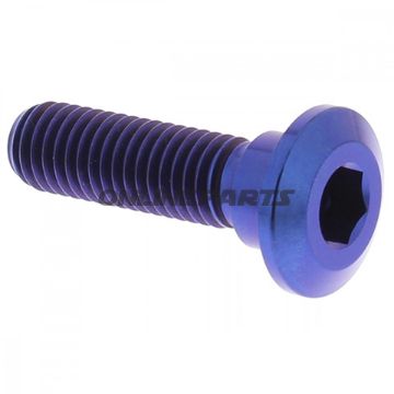 Brake Disc Screw Proboltm8x1.25Mm 30Mm Titan Blue