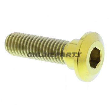 Brake Disc Screw Proboltm8x1.25Mm 30Mm Titan Gold