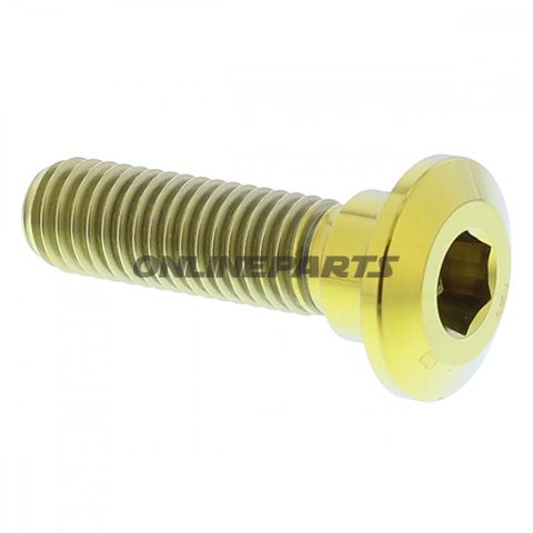 Brake Disc Screw Proboltm8x1.25Mm 30Mm Titan Gold