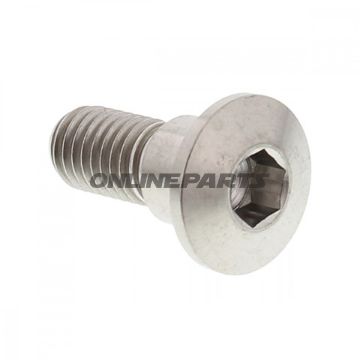 Brake Disc Screw Proboltm8x1.25Mm 22Mm Titan