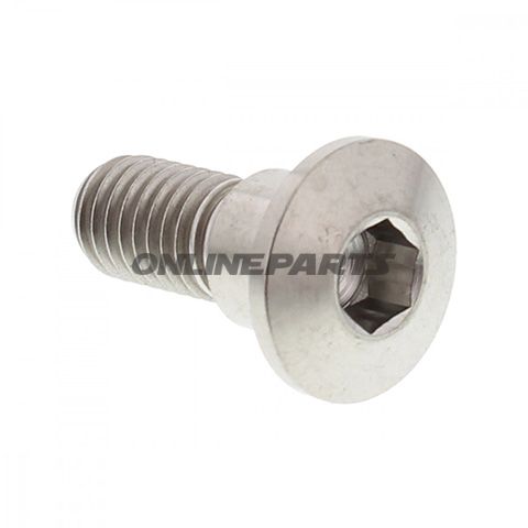 Brake Disc Screw Proboltm8x1.25Mm 22Mm Titan