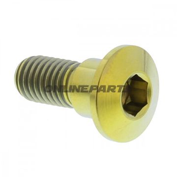 Brake Disc Screw Proboltm8x1.25Mm 22Mm Titan Gold