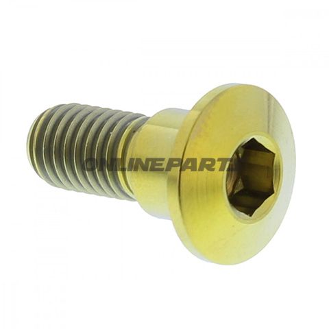 Brake Disc Screw Proboltm8x1.25Mm 22Mm Titan Gold