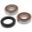 Wheel Bearing And Seal Kitmit Simmerringen
