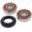 Wheel Bearing And Seal Kitmit Simmerringen