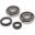 Crankshaft Bearing Kit Tourmaxmit Simmerringen
