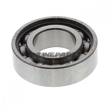 Roller Bearing 6003 Skfntn 7420805